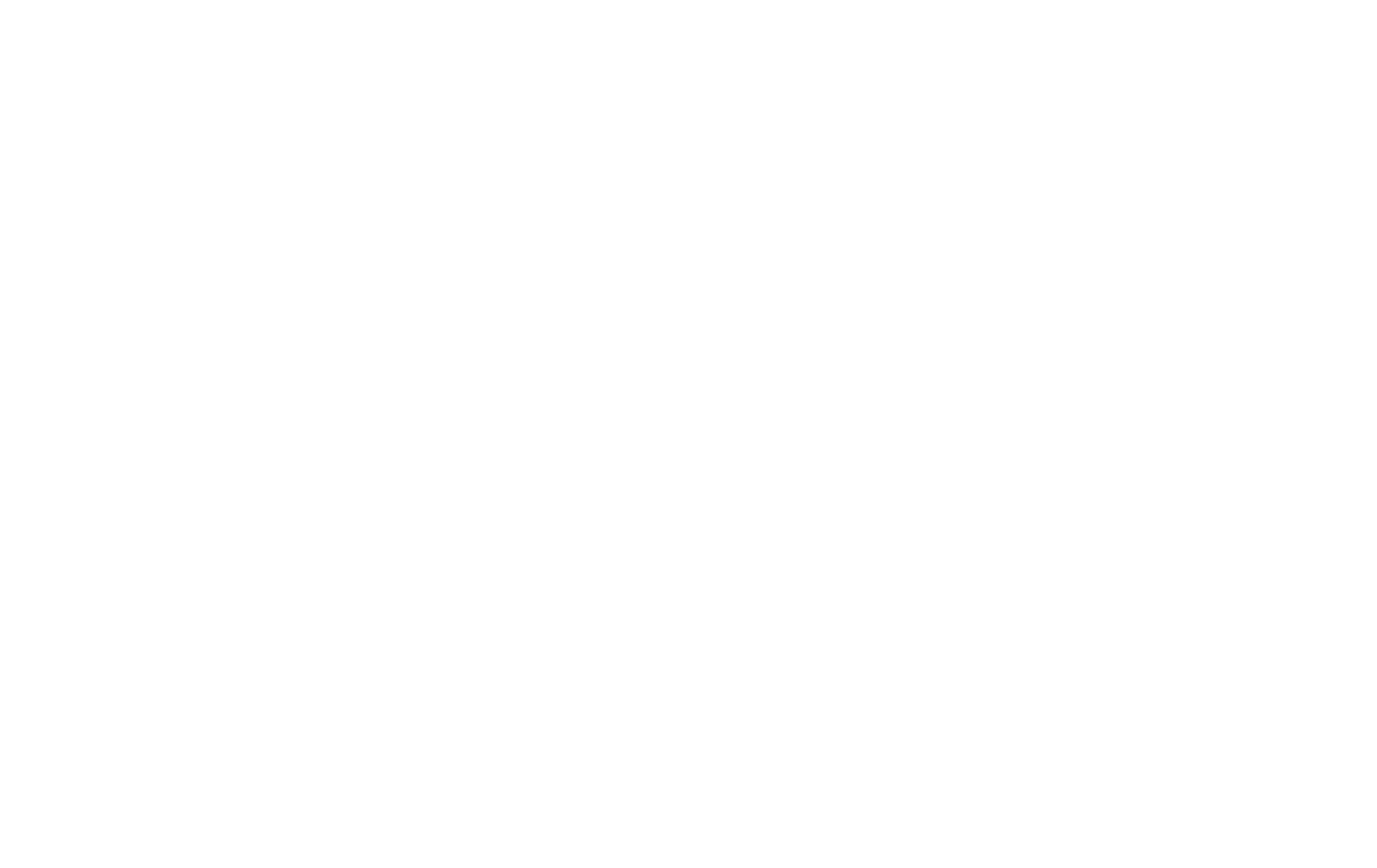 SKY-EAGLE-TRIP-LOGO-White